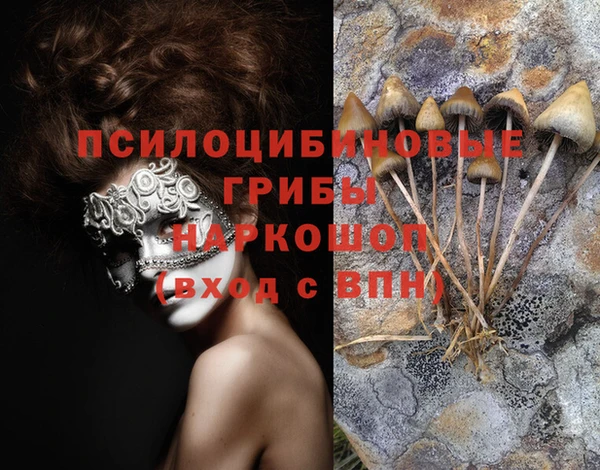 бошки Абинск