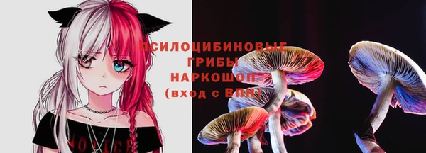 mix Абаза
