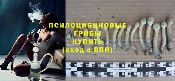 бошки Абинск