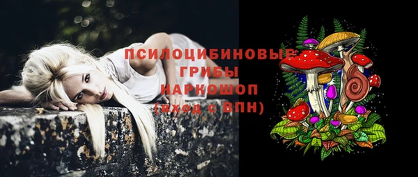 бошки Абинск